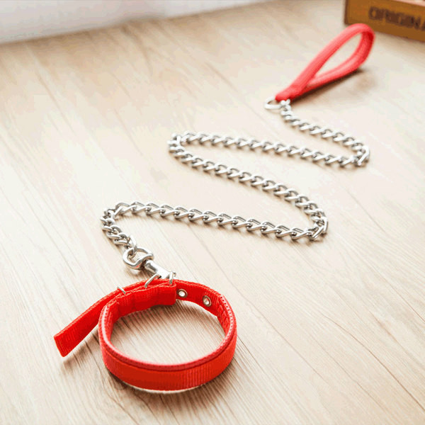 Guler de câine model simplu și lesă metalică