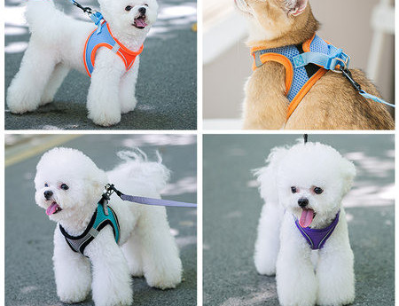 Koerte rakmed - mitu mudelit