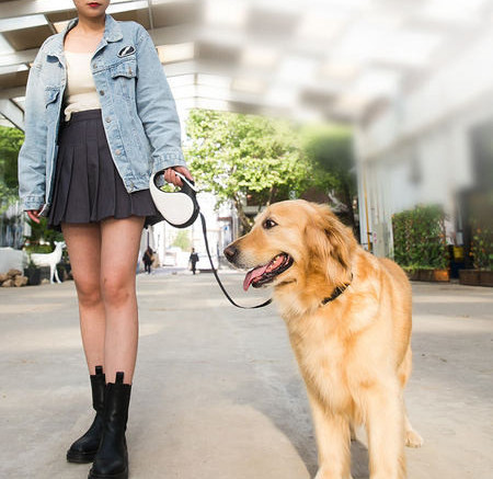 Lesa automata pentru caini - doua modele