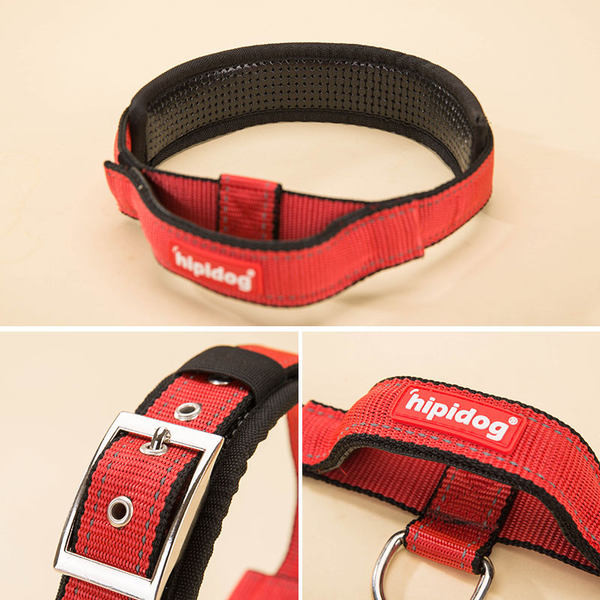 Guler de caine cu catarama metalica