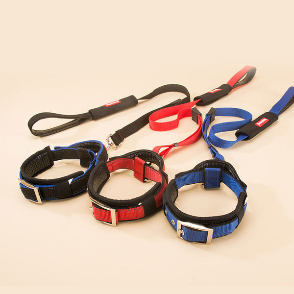 Guler de caine cu catarama metalica