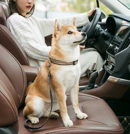 Centura de siguranta pentru caine pentru masina