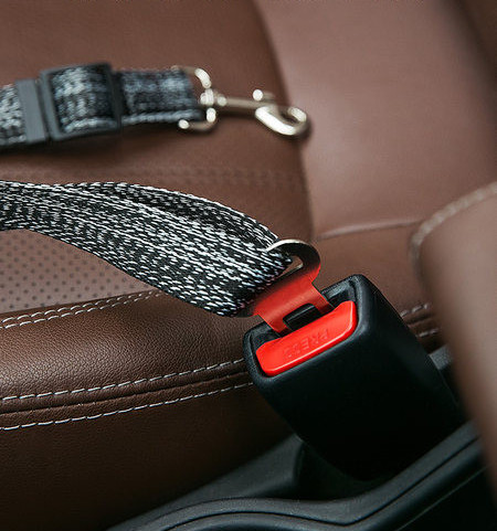 Centura de siguranta pentru caine pentru masina