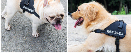 Ham textil pentru câini cu inscripție