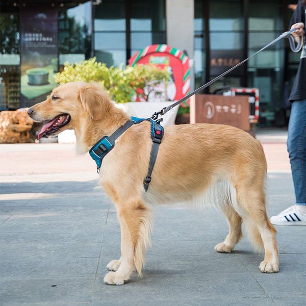 Bavete pentru caine cu catarama metalica