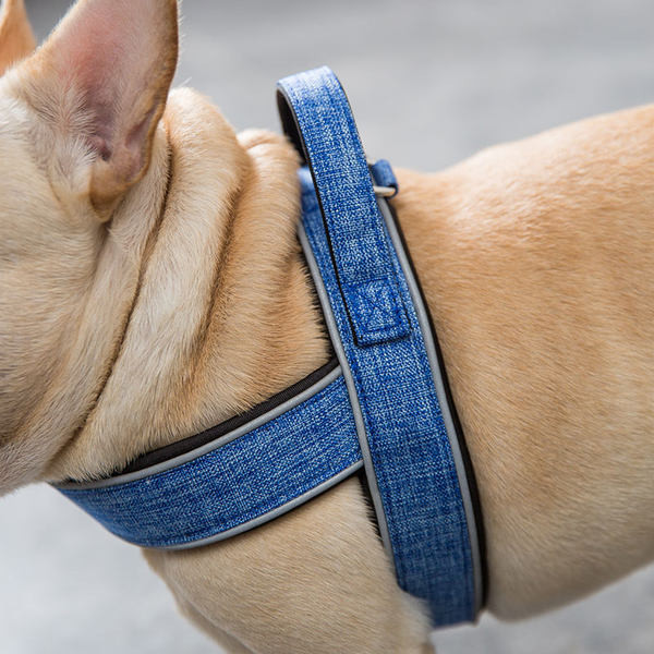 Bavete model simplu pentru caini