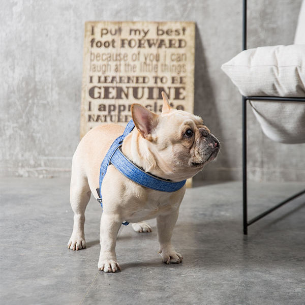 Bavete model simplu pentru caini