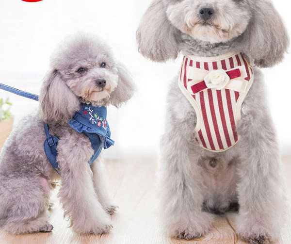 Bavete cu curea pentru animale de companie