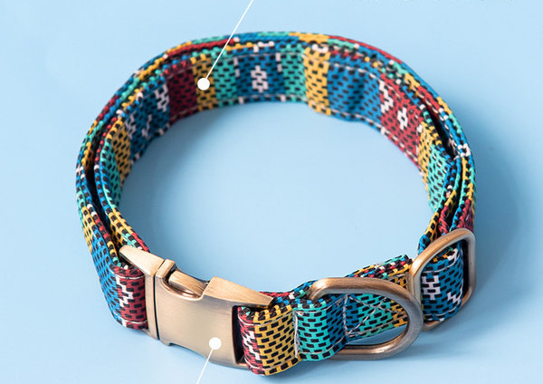 Set câine bavetă cu lesă sau guler cu lesă