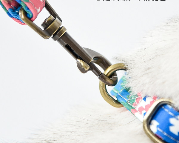 Set câine bavetă cu lesă sau guler cu lesă