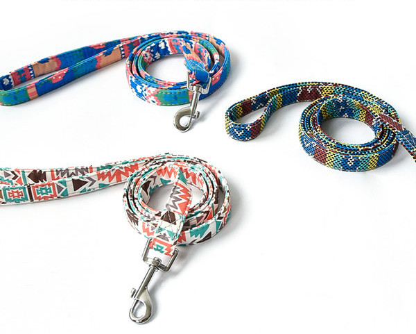 Set câine bavetă cu lesă sau guler cu lesă