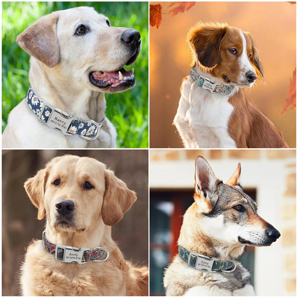 Koera kaelarihm või jalutusrihm kirjaga