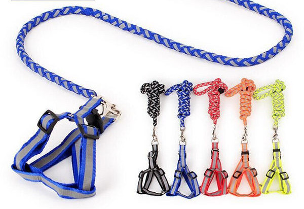 Bavetă reglabilă cu lesă pentru câini - mai multe culori