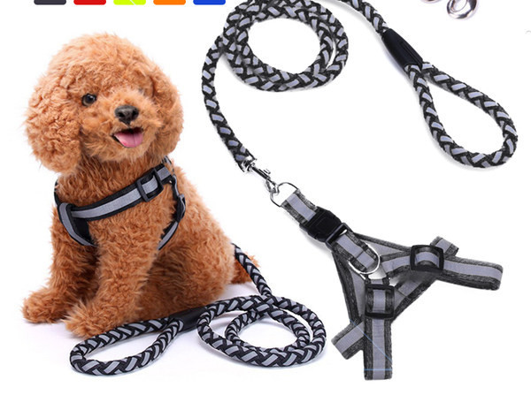 Bavetă reglabilă cu lesă pentru câini - mai multe culori