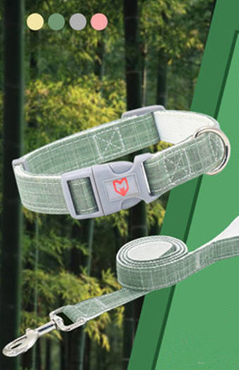 Set zgarda si lesa pentru caini