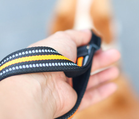 Guleră și lesă din textile pentru câini