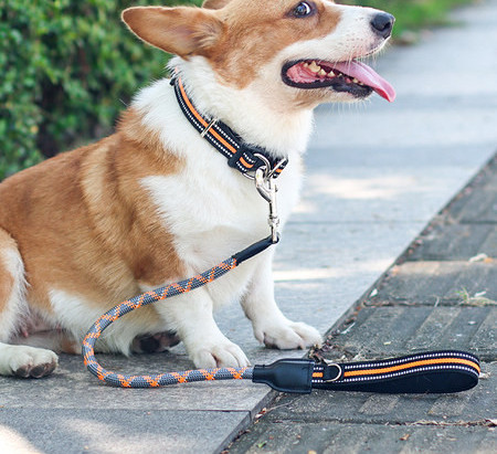 Guleră și lesă din textile pentru câini