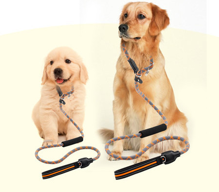 Guler pentru animale de companie