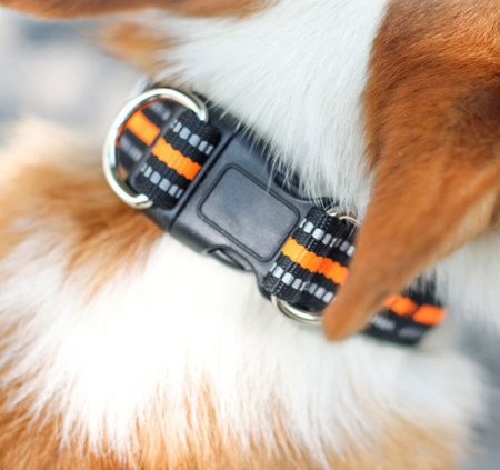 Zgarda pentru caini din material textil si lesa cu prindere metalica