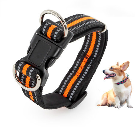 Zgarda pentru caini din material textil si lesa cu prindere metalica