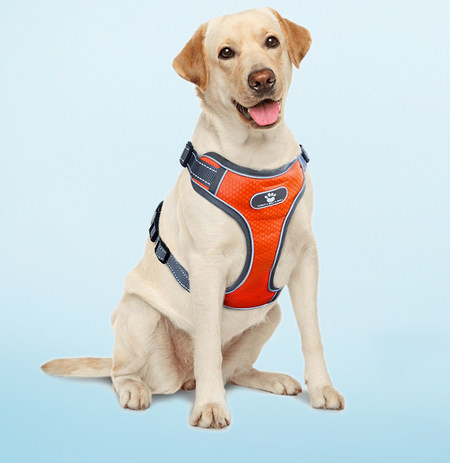 Ham reglabil pentru câini din material textil