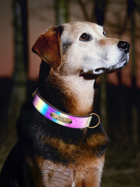 Guler reflectorizant pentru câine