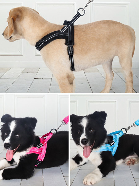 Bavete reflectorizant pentru câine