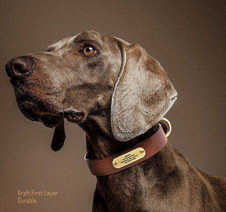 Guler de caine din imitatie de piele cu decor metalic