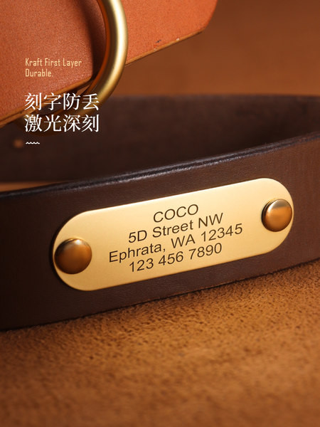 Guler de caine din imitatie de piele cu decor metalic