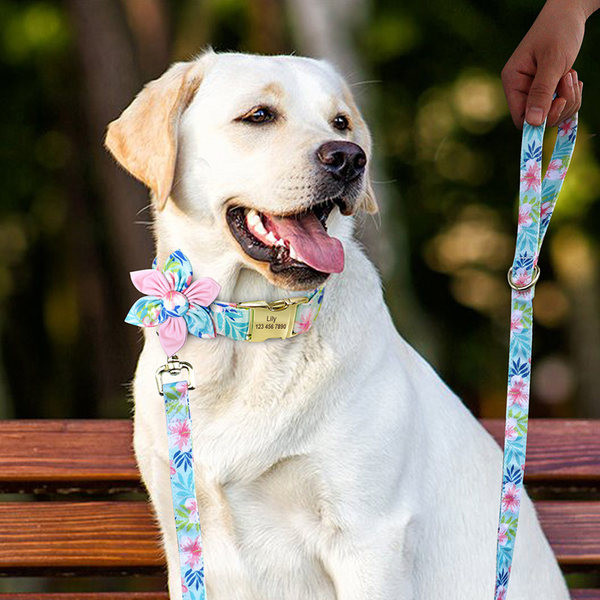 Guler de caine cu model floral si floare