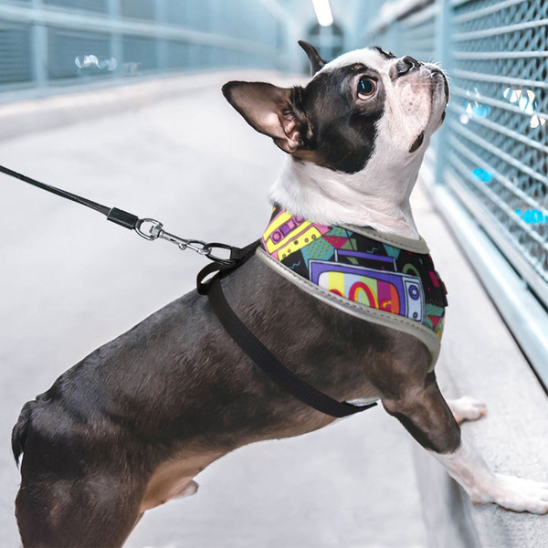 Rinnaplaat või juhus lemmikloomadele