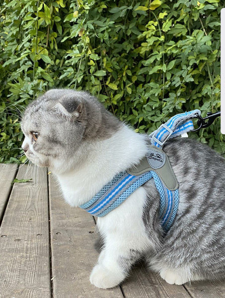 Lesă textilă pentru câini