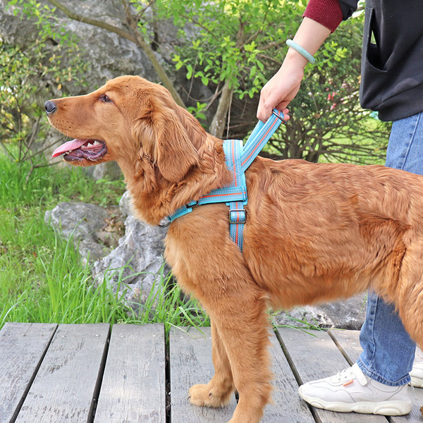 Ham reglabil pentru câini