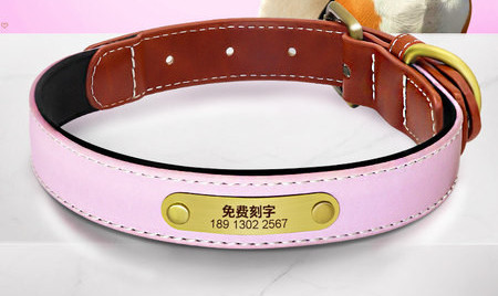 Guler pentru câini Guler reflectorizant din piele Teddy Golden Retriever câine de talie mică și mijlocie etichetă pentru guler pentru animale de companie cu inscripție anti-pierdere