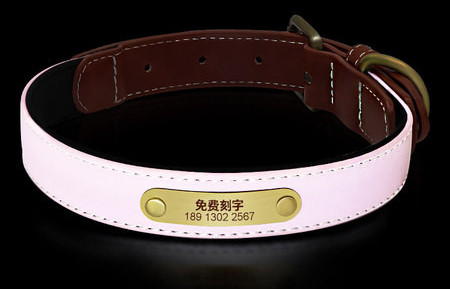 Guler pentru câini Guler reflectorizant din piele Teddy Golden Retriever câine de talie mică și mijlocie etichetă pentru guler pentru animale de companie cu inscripție anti-pierdere