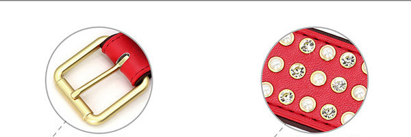 Metallist neetidega kunstkoera kaelarihm