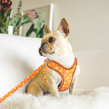 Σαμαράκι σκύλου με λουρί - χρωματιστό