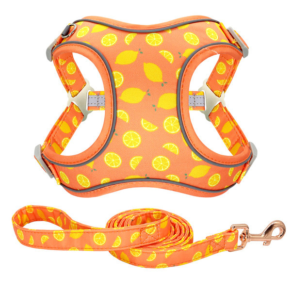 Bavete cu flori de caine cu lesa