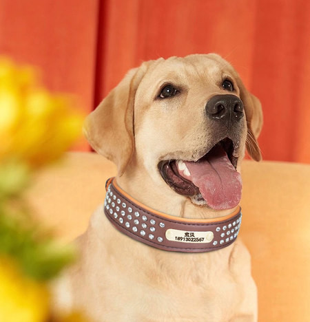 Lesa din piele pentru caini cu pietre in patru culori