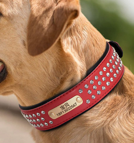 Lesa din piele pentru caini cu pietre in patru culori