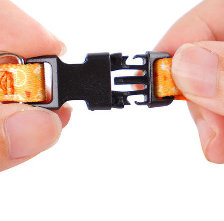 Κολάρο για σκύλους με απλικέ και πλαστικό κούμπωμα