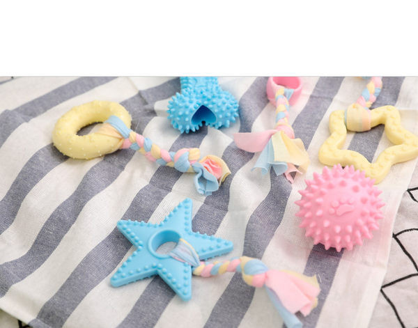 Lemmiklooma mänguasi - mitu mudelit