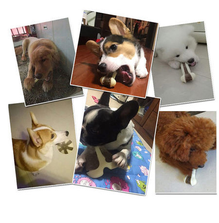 Kummist mänguluu koertele