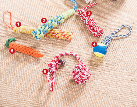 Funie pentru jocul cu animale de companie