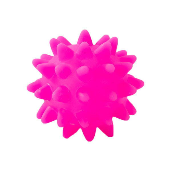 Mänguasi koertele - erinevad mudelid