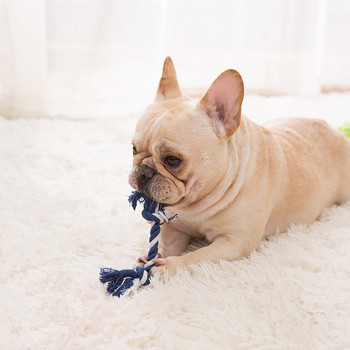 Παιχνίδι για σκύλους - μια μπάλα από σχοινί ή σχοινί