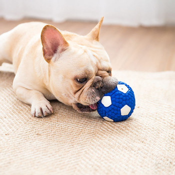 Μια μικρή λαστιχένια μπάλα για σκύλο