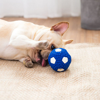 Μια μικρή λαστιχένια μπάλα για σκύλο