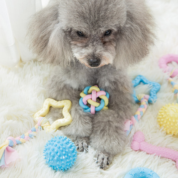 Câine colorat strălucitor pentru joacă