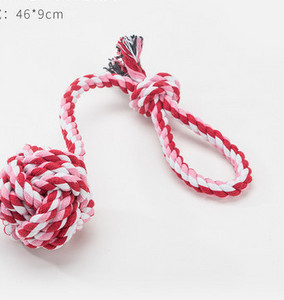 Koerte tekstiilist mänguasjad - mitu mudelit